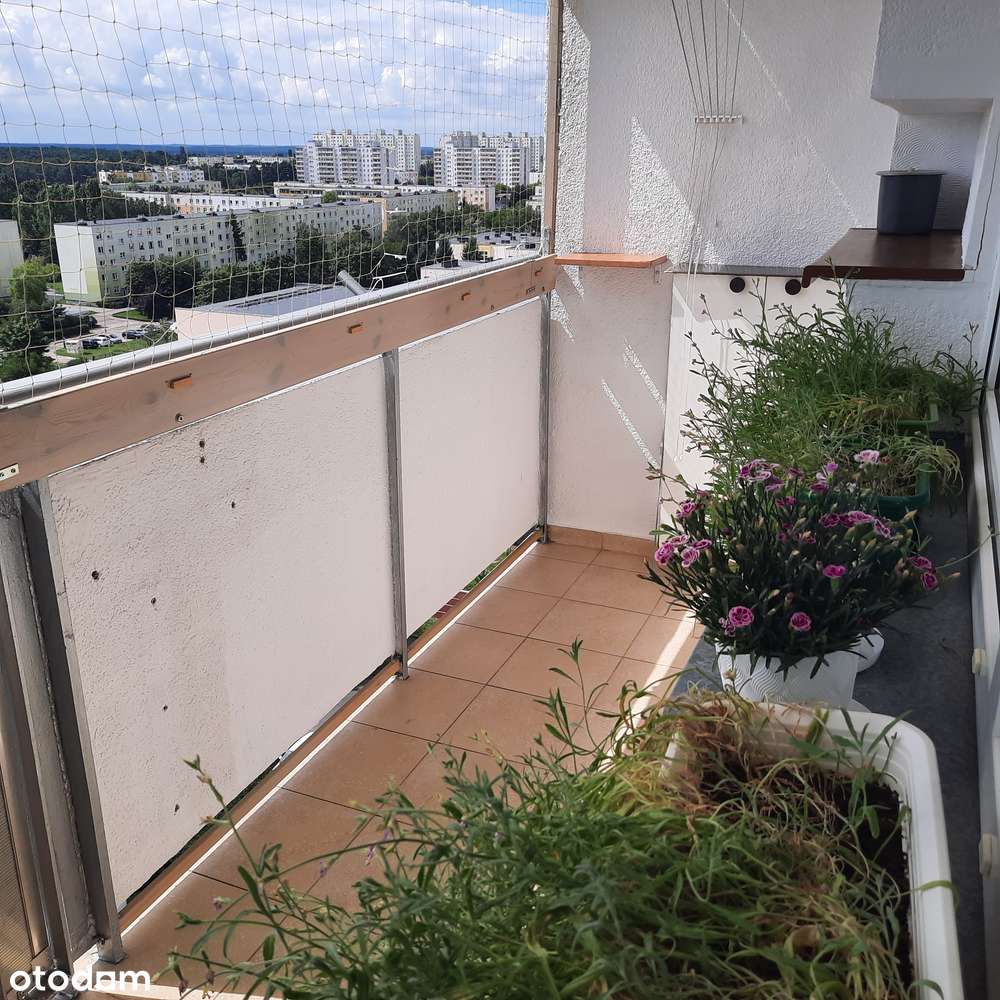 48,49 m2, Kosynierów Kościuszkowskich-2