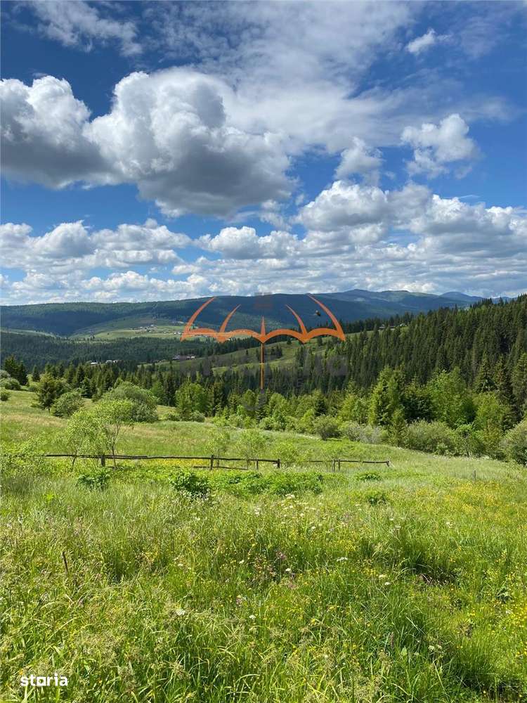 Teren de vanzare intravilan 1924m² 15.146m² extravilan in Dealu Botii- - Imagine principală: 4/7