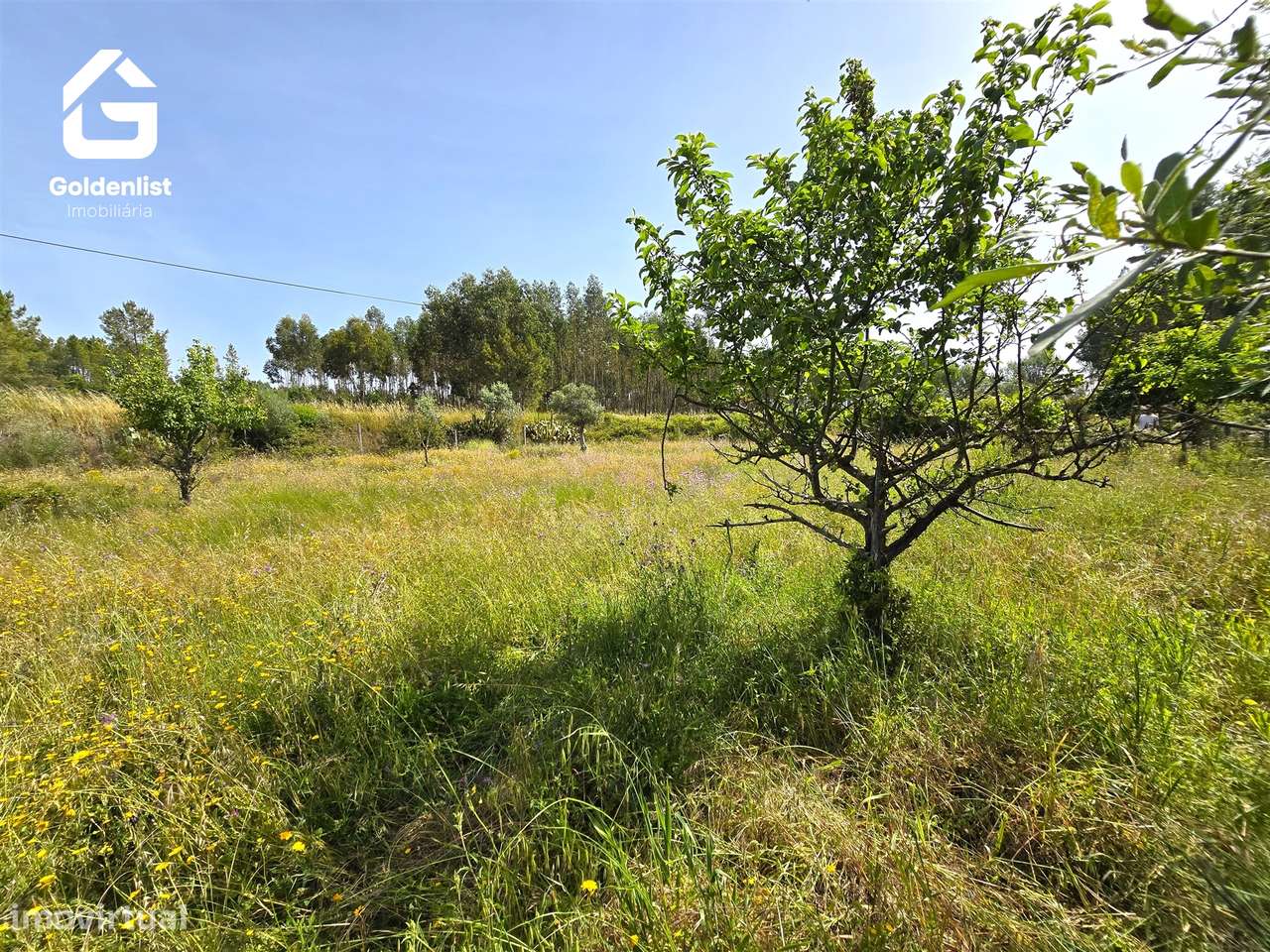 Quinta  Venda em Sarnadas de Ródão,Vila Velha de Ródão-28
