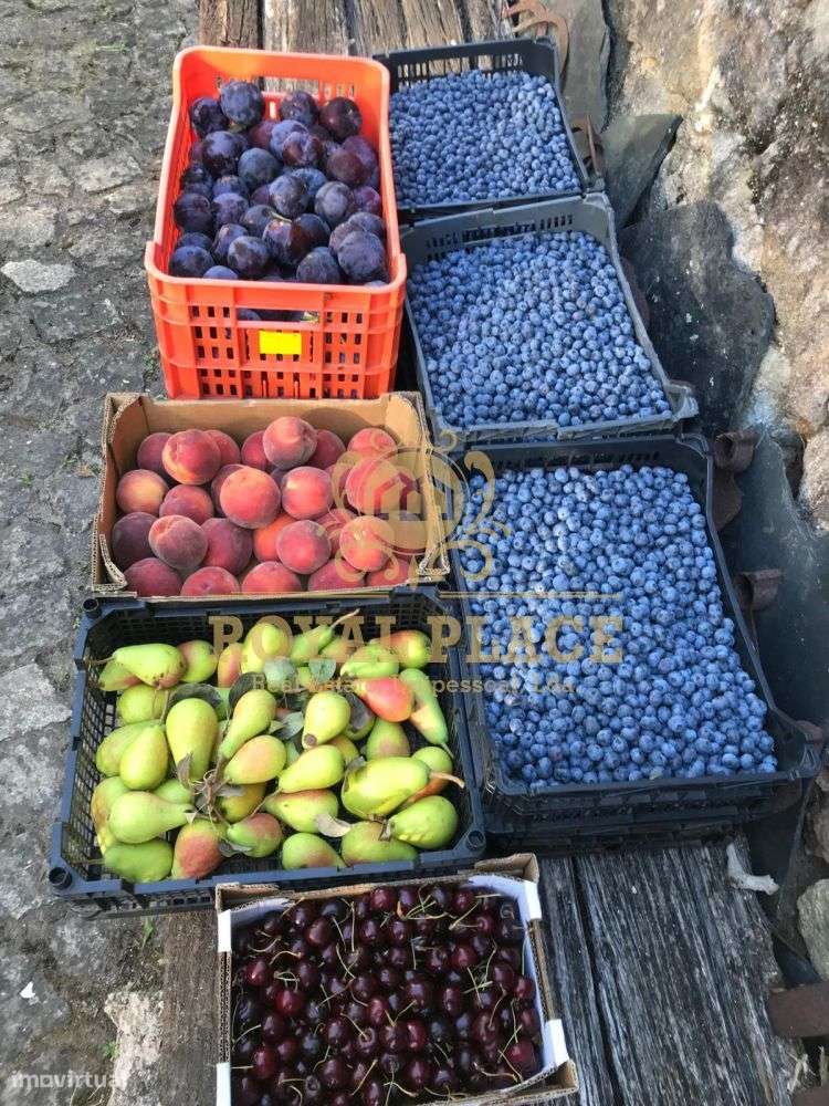 Quinta com armazém em Ossela, Oliveira de Azeméis-22