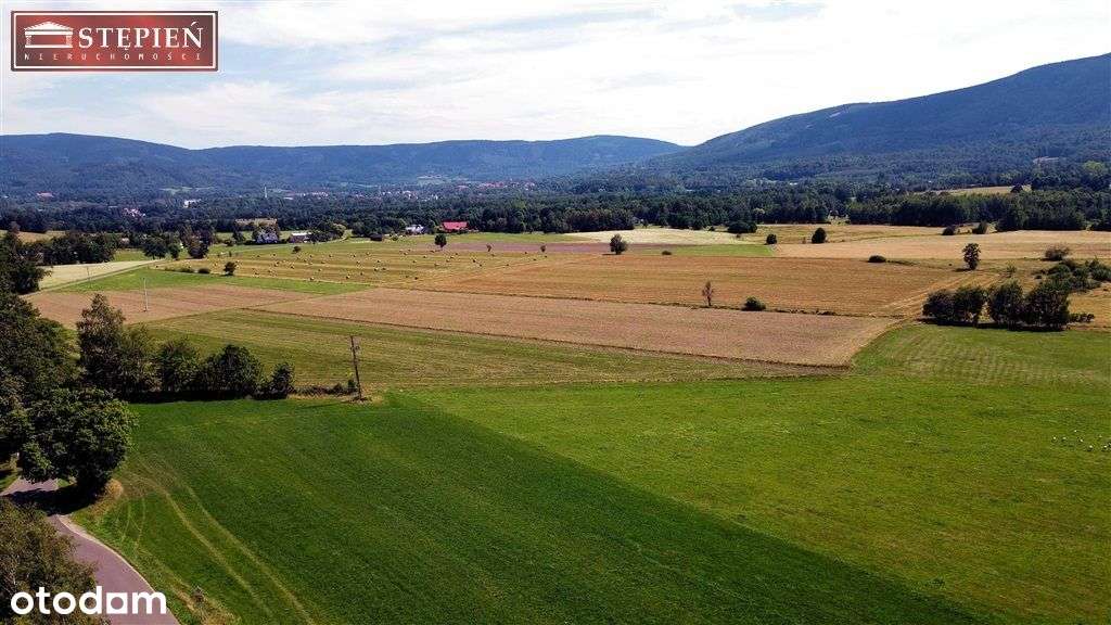 Działka, 45 140 m², Kostrzyca - Pełny obrazek: 4/7