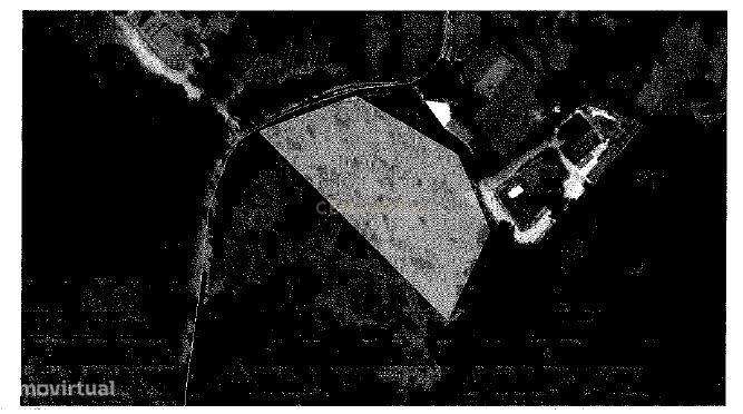 Terreno com viabilidade de construção com cerca de 3540m2 - Grande imagem: 4/4