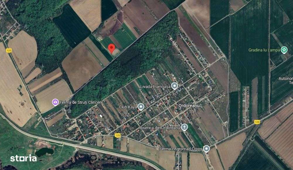 Teren intravilan 1750 m² - CLINCENI - ILFOV - Imagine principală: 2/3