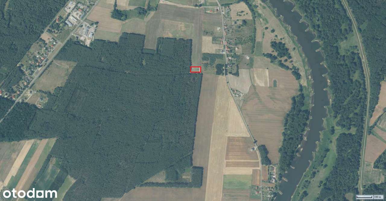 Działka budowlana na skraju lasu z projektem po adaptacji - Pełny obrazek: 5/6