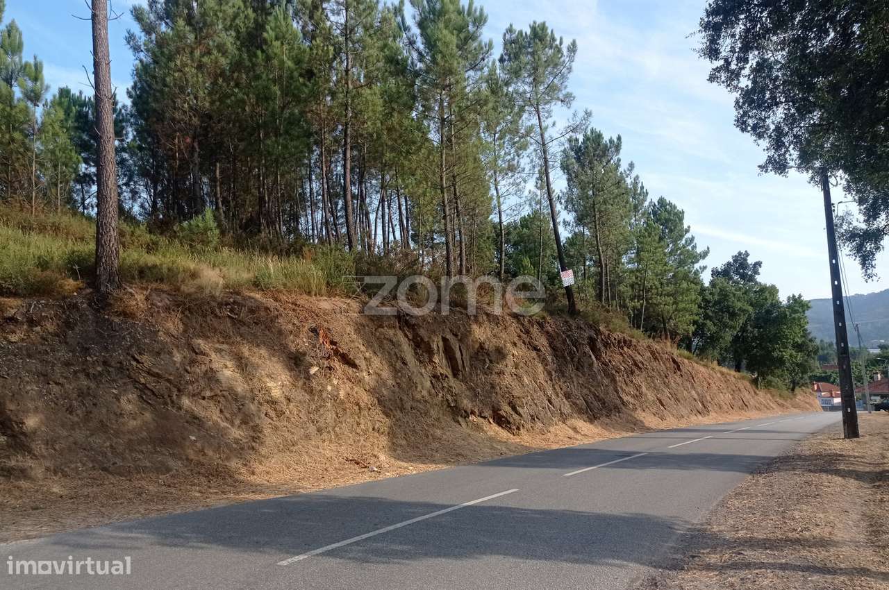 Terreno urbanizavel - Cabeceiras de Basto - Grande imagem: 2/10