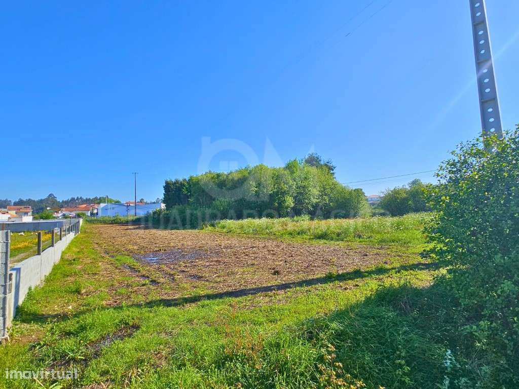 Oportunidade de Investimento Agrícola: Terreno de 1.800 m² com Pote...-7