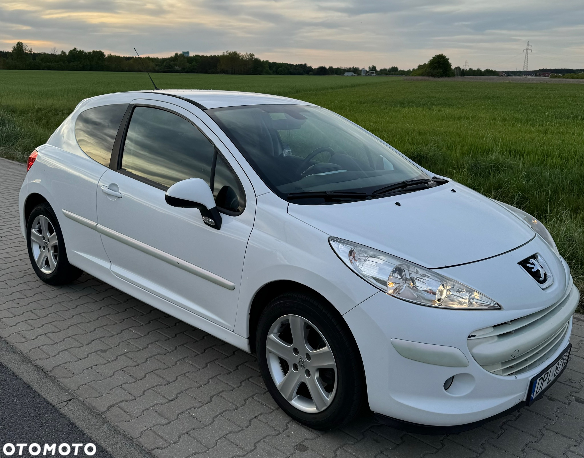 Peugeot 207 - 4