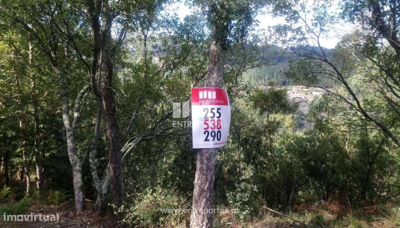 Venda Terreno com frente Rio Douro, Espadanedo, Cinfães - Grande imagem: 3/34
