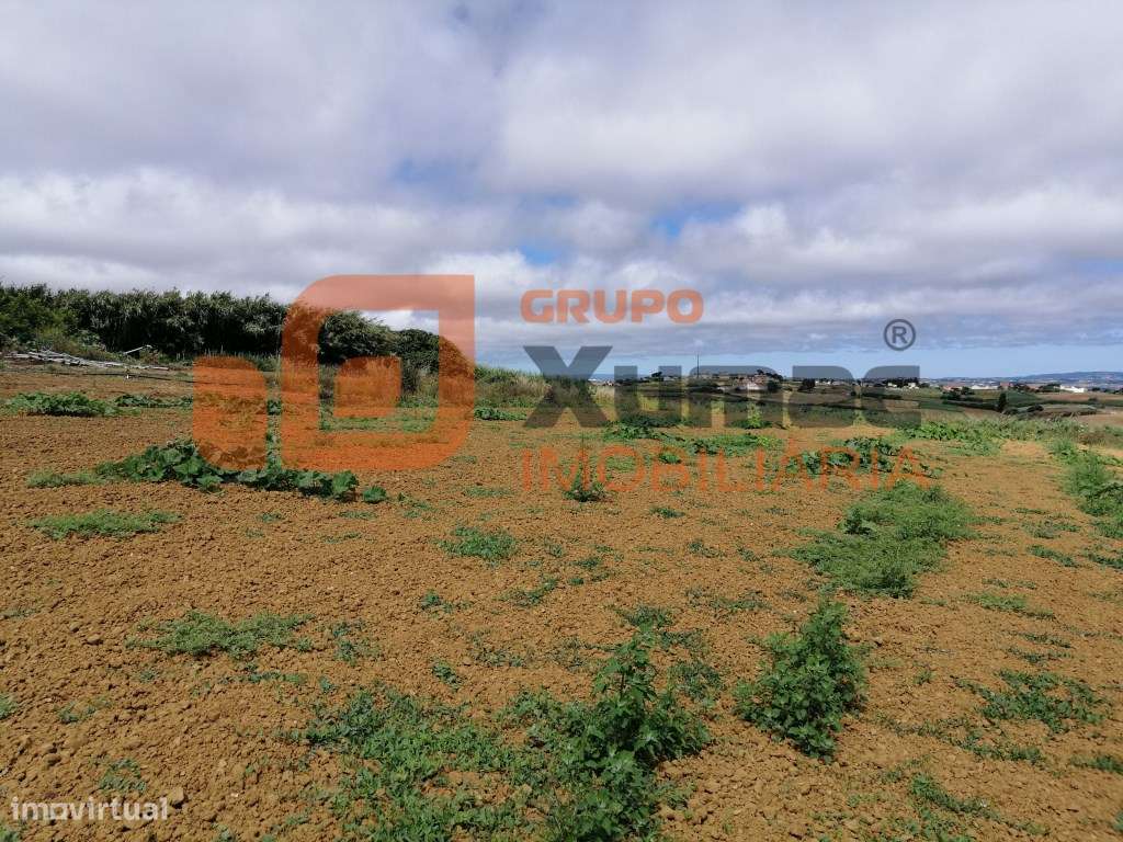 Fantástico terreno com viabilidade para construção de uma ou mais m... - Grande imagem: 5/11