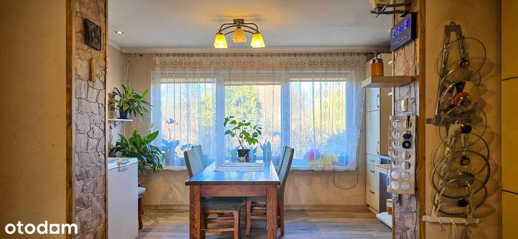 Dom w otoczeniu przyrody, Borki- działka 8497 m2-7