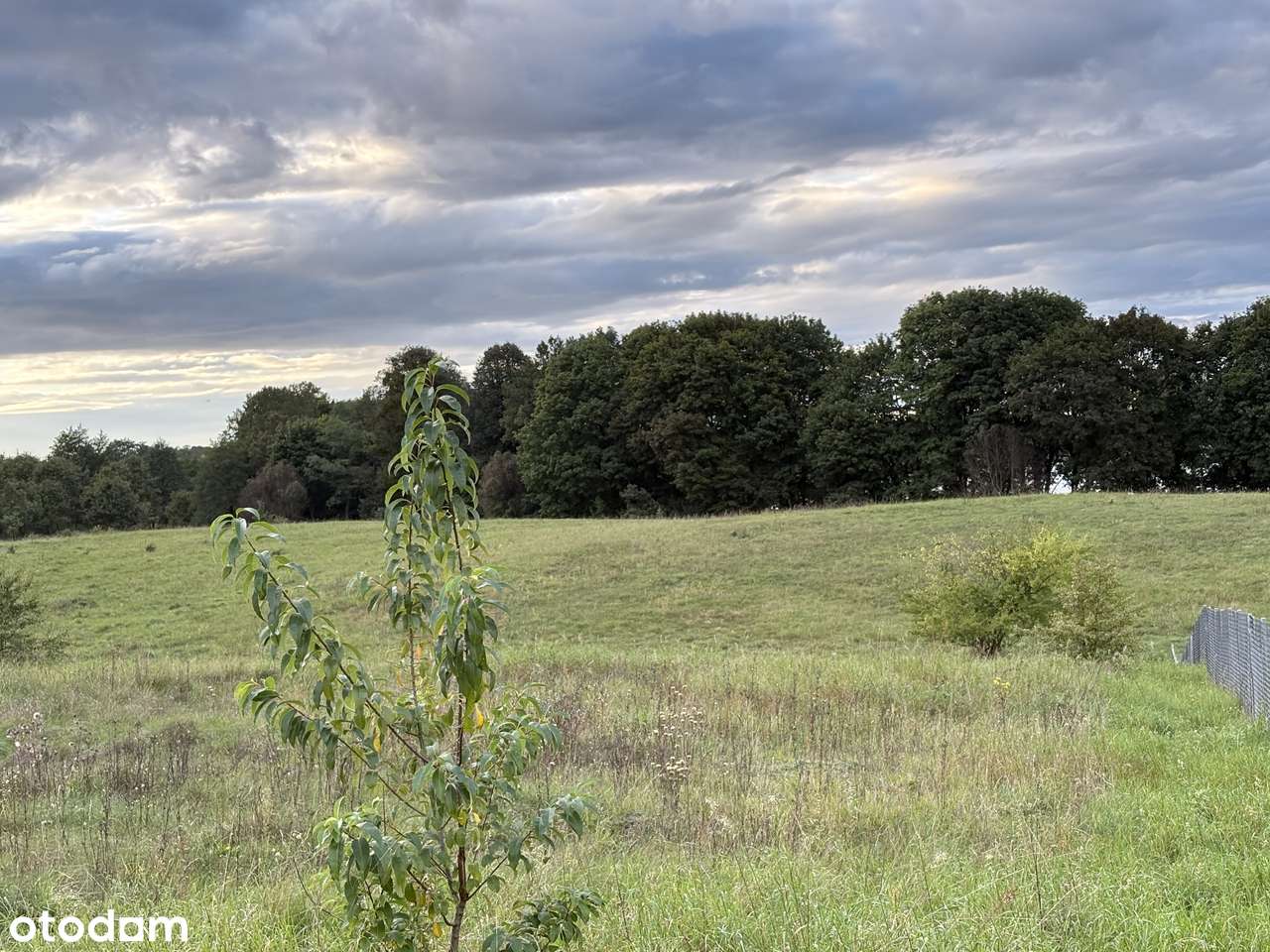 Działka budowlana nad jeziorem Ramoty, z udziałem w linii brzegowej - Pełny obrazek: 5/11