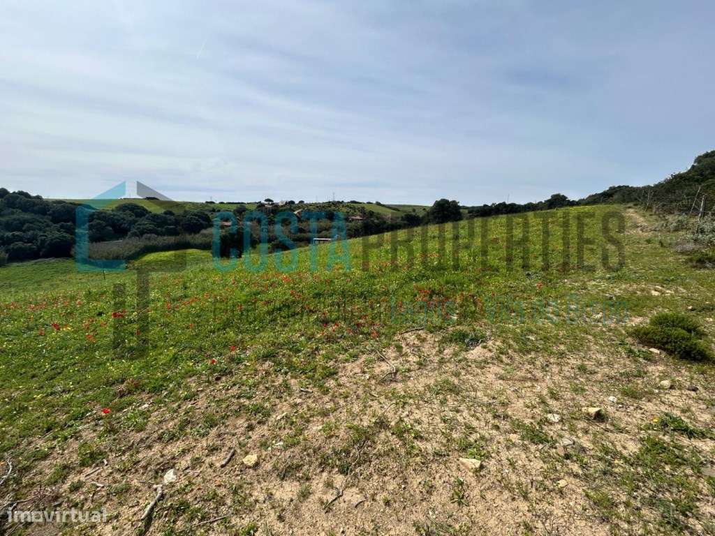 Terreno Rústico com Orientação Sul na Raposeira - Grande imagem: 4/11