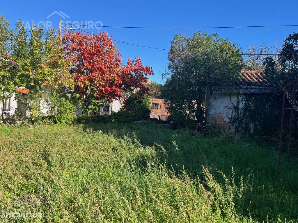 Casa rural para recuperação em Ansião-29