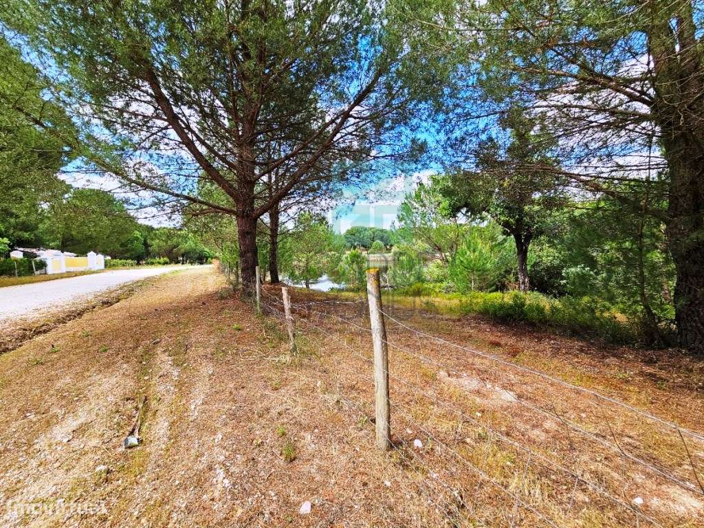 Lote de Terreno de 33.300m2, com lagoa, na Mata do Duque 1, Santo E...-18