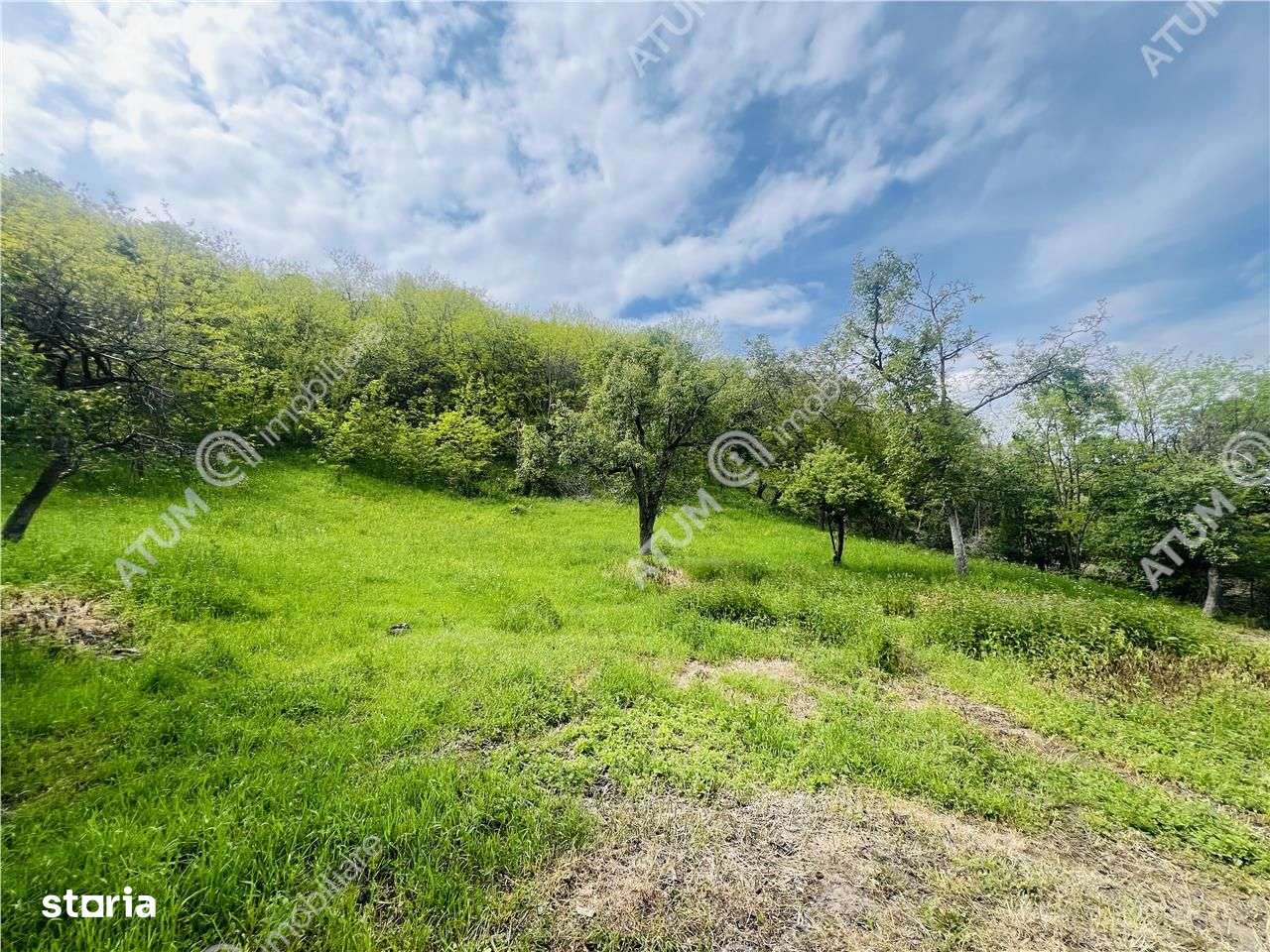 Teren intravilan de 1811 mp situat in Sibiel judetul Sibiu - Imagine principală: 4/13