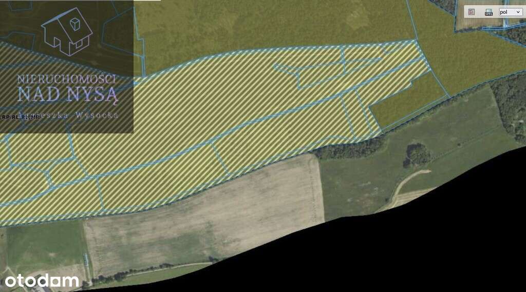 działka rolna , 4 HA, Miedziana - Pełny obrazek: 4/5