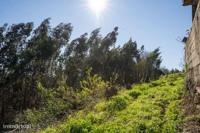 Terreno para venda na Catraia de Assequins - Águeda - Grande imagem: 4/8