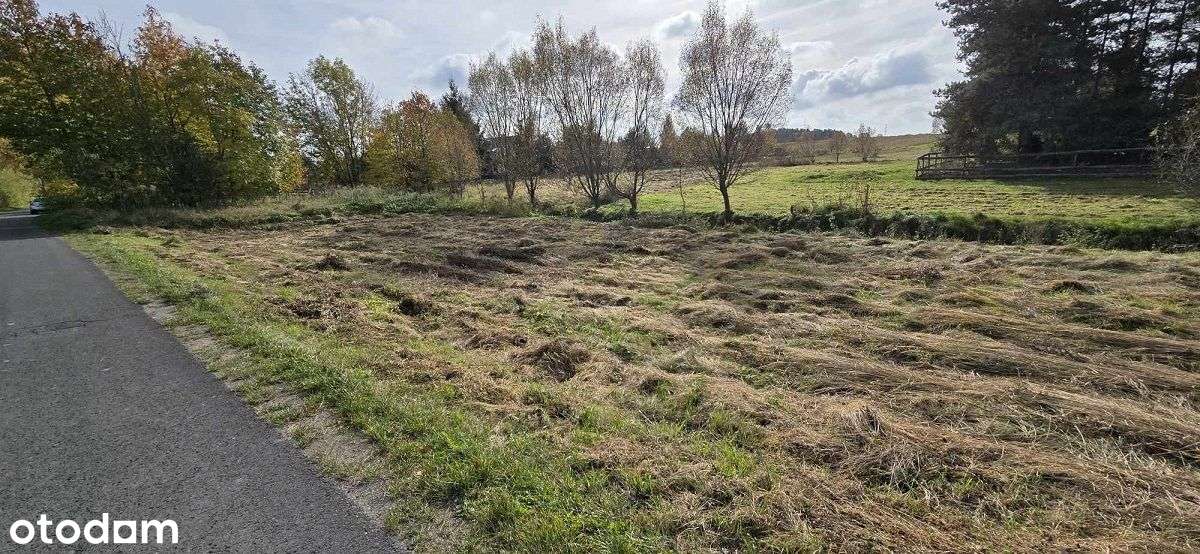 działka budowlana w Henrykowie Lubańskim - okazja-6