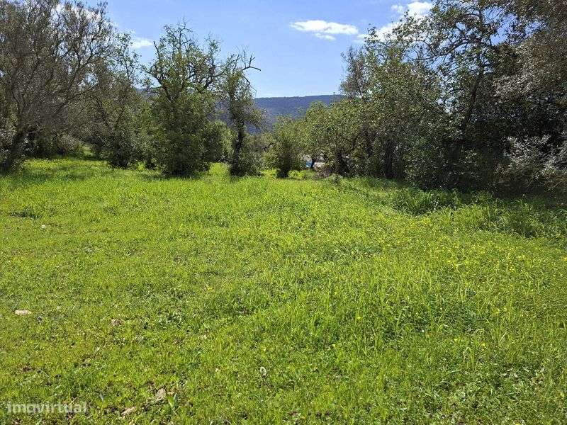 Belo terreno urbano para construir até 4 moradias com bons acessos! - Grande imagem: 5/12