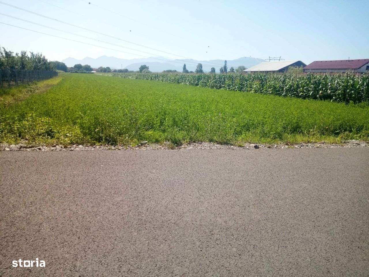 Teren pentru case, cu puz, Stupini, Brasov. Cu toate utilitățile. - Imagine principală: 4/7