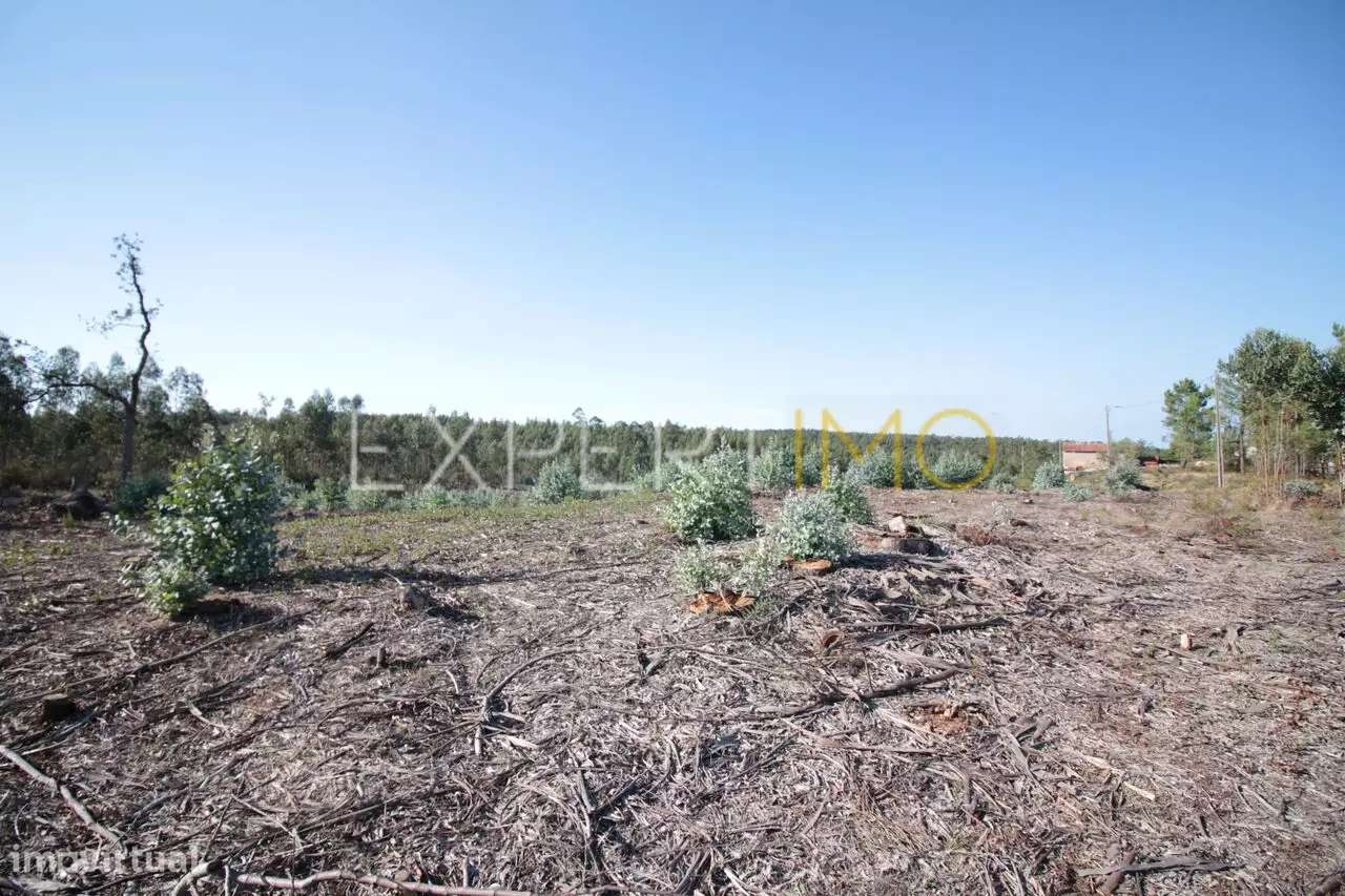Terreno em Leiria com 75400 m2 para construção - Grande imagem: 3/5