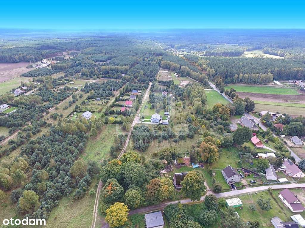 Dwie działki na tererenie Borów Tucholskich - Pełny obrazek: 4/19