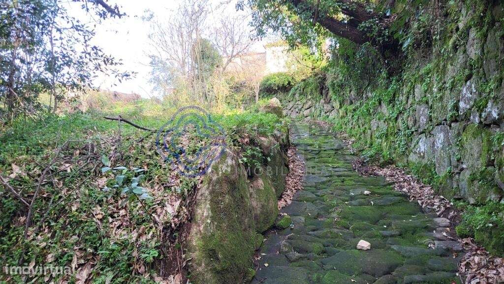 3 ruínas no Douro com sobreiros e frente rio. Invista no refúgio dos s - Grande imagem: 5/12