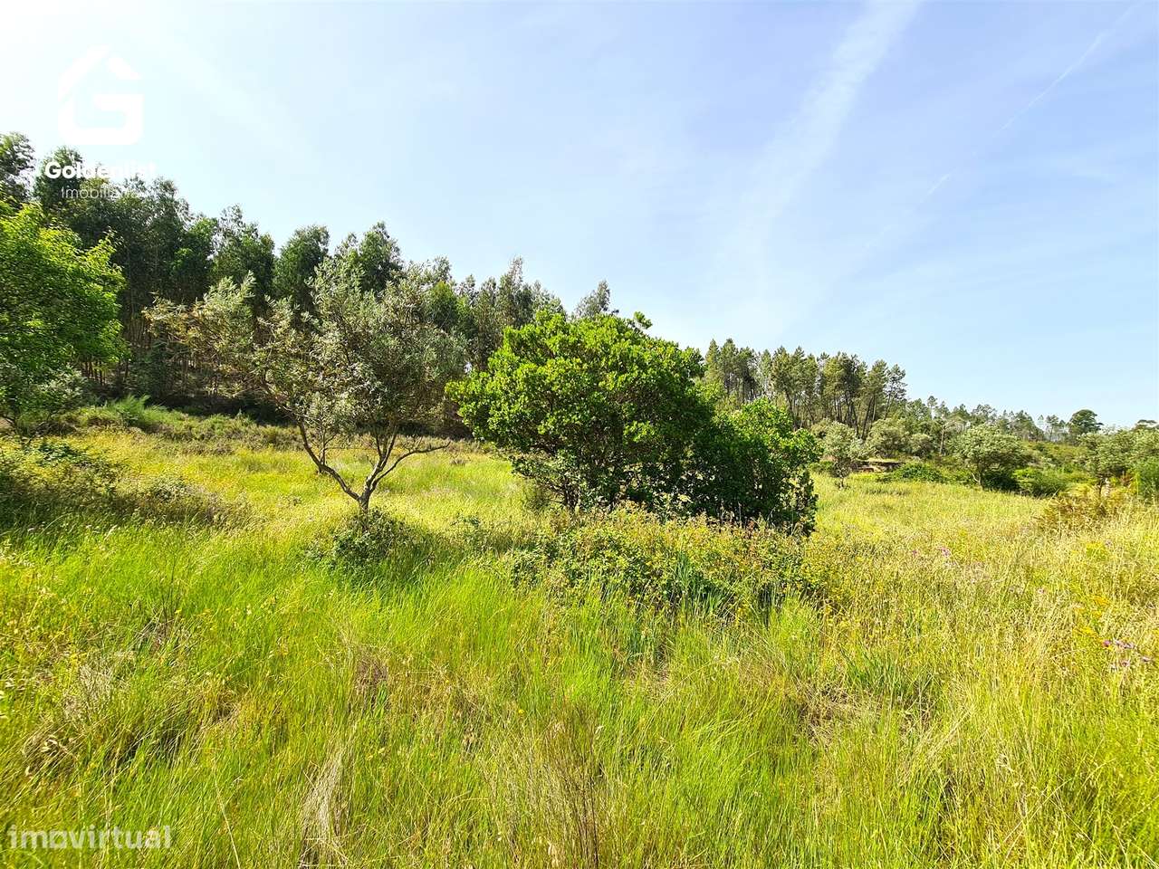 Quinta  Venda em Sarnadas de Ródão,Vila Velha de Ródão-33
