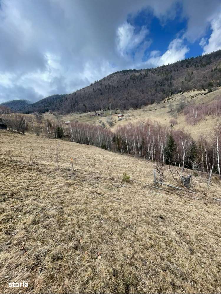 Teren Cu Potential De Dezvoltare În ZONA TURISTICĂ MAGURA-PESTERA - Imagine principală: 5/14