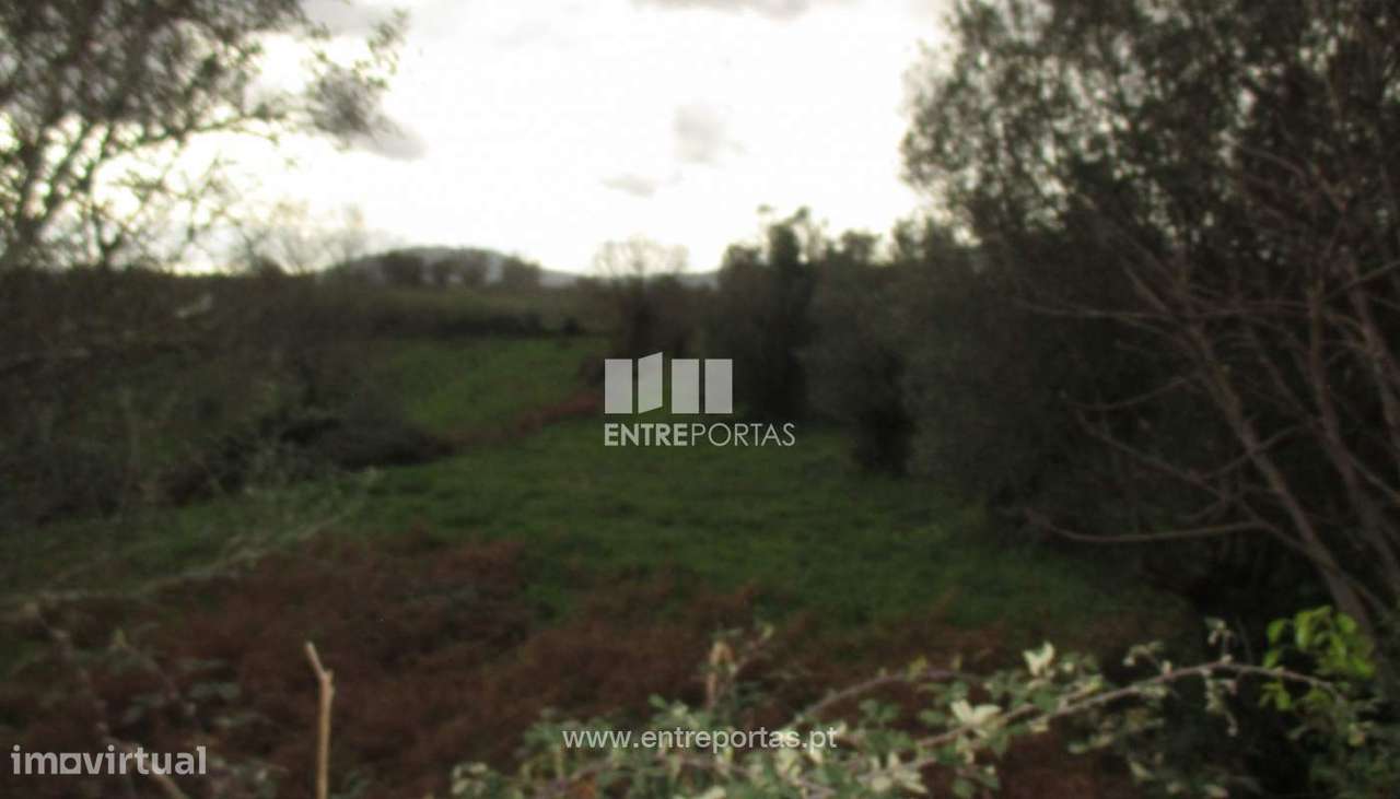 Venda de terreno com 2500m², Lanheses, Viana do Castelo - Grande imagem: 4/30