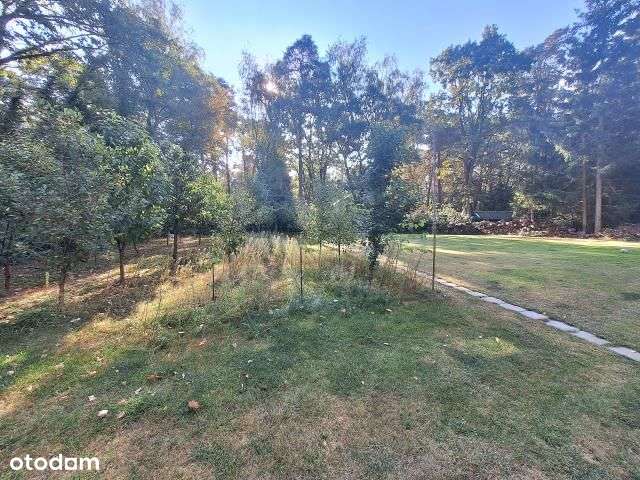 Willa w lesie, z ogrodem i sadem, blisko Centrum-17