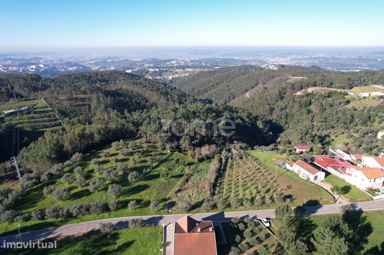 Terreno | Construção | 1643m2 | Serra da Rocha, Coimbra - Grande imagem: 3/16