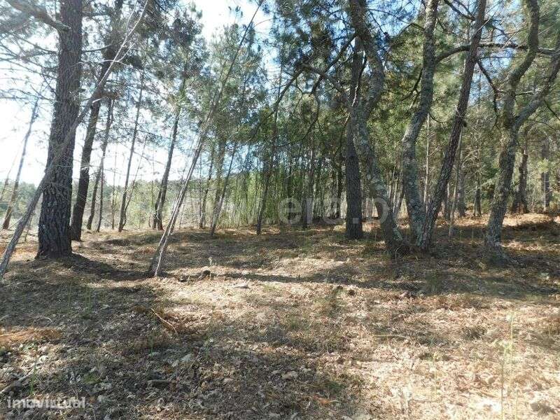 Terreno / Fundão, Souto da Casa - Grande imagem: 5/12