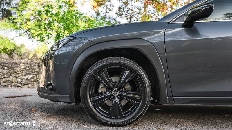 Lexus UX 250h Special Edition (LCA) - 18