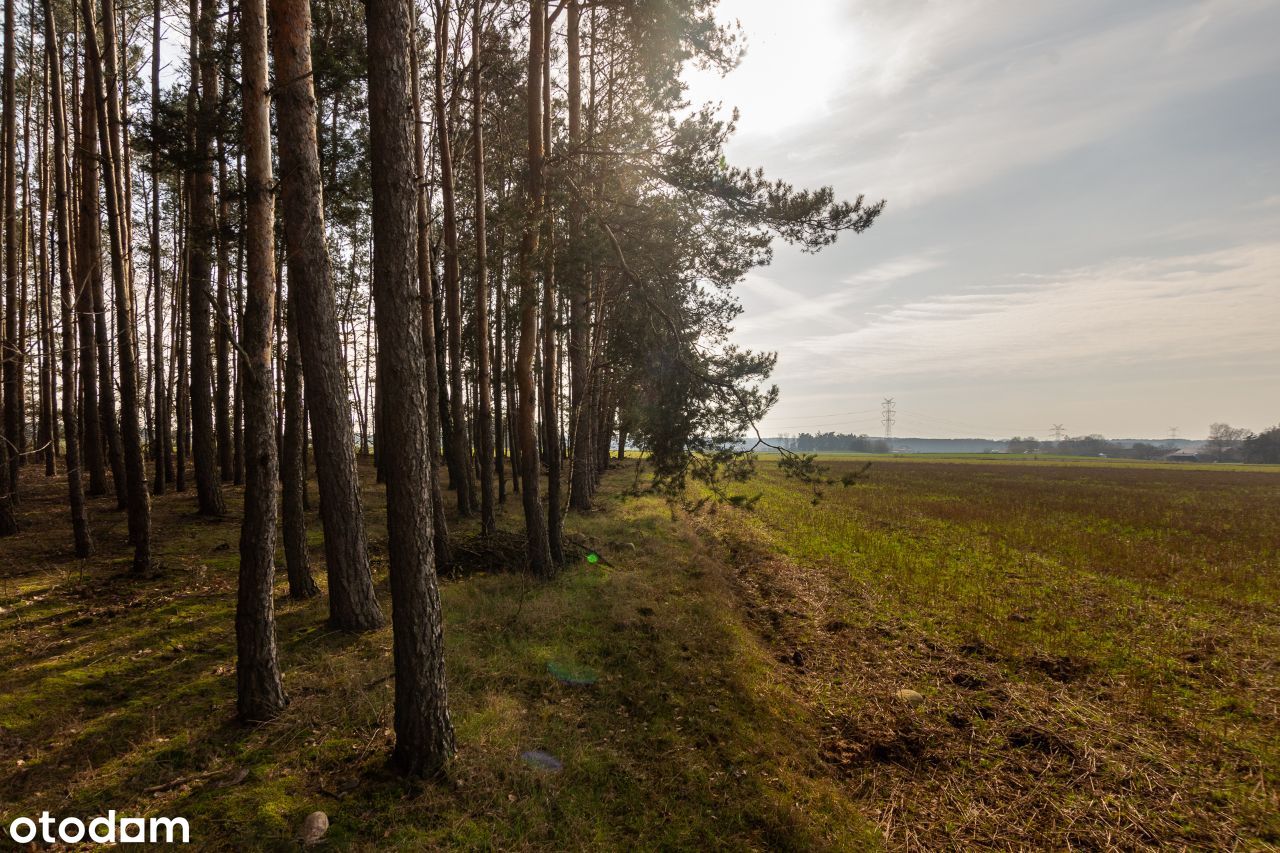 Piękne Działki Przy Lesie-Blisko Łodzi !!