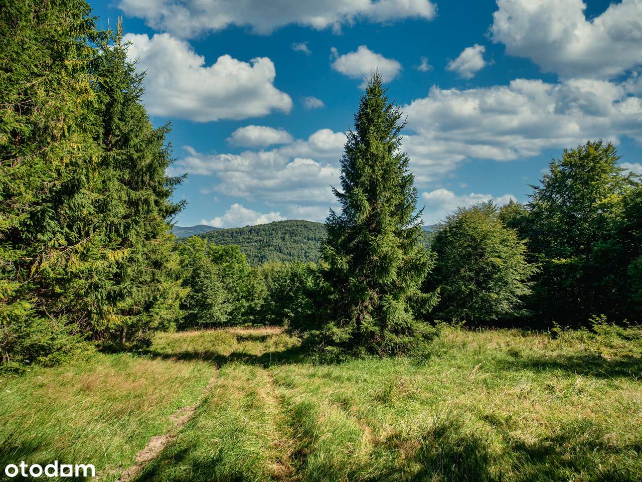 Piękna działka wśród zieleni, idealna na rekreacje, cisza i spokój - Pełny obrazek: 1/8