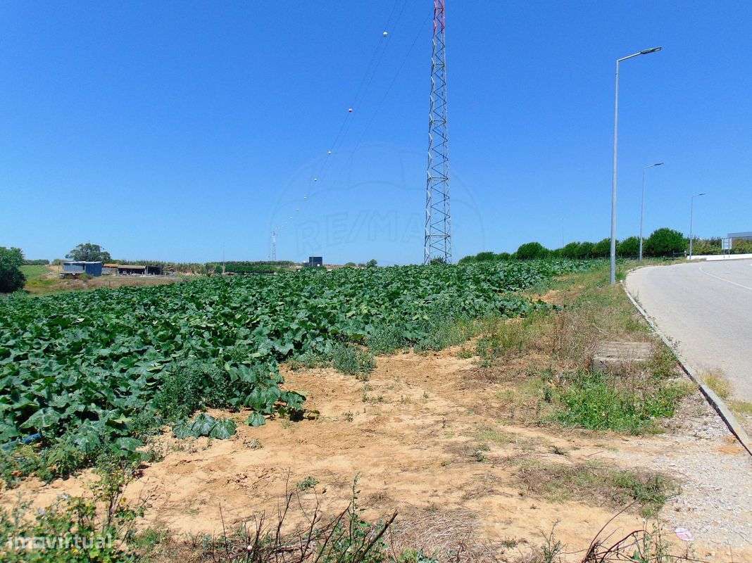 Terreno  para venda - Grande imagem: 3/6