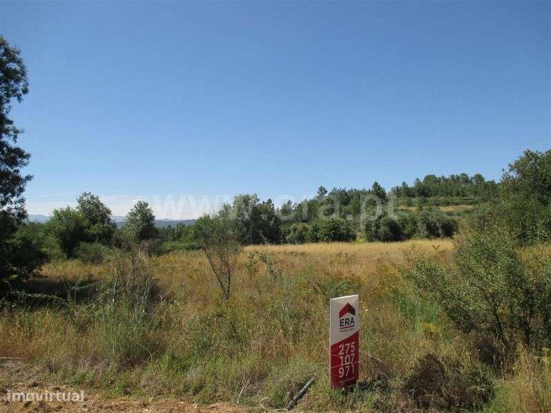 Terreno / Fundão, Enxames - Grande imagem: 1/4