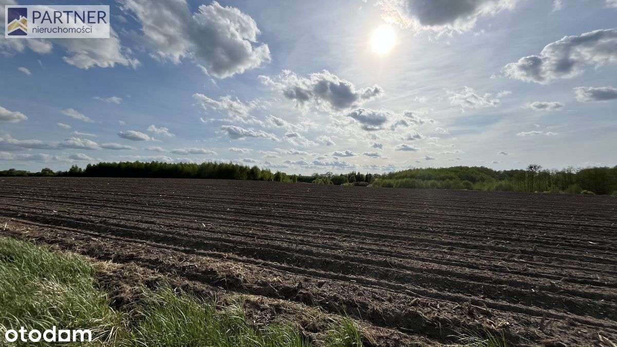 Działki w Tychowie 80 zł/m2 - Pełny obrazek: 5/10