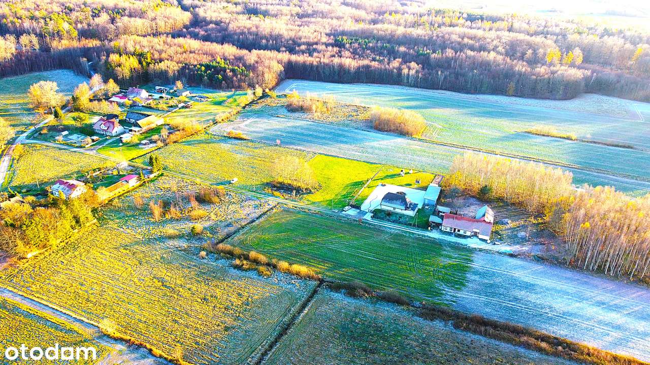 Jeżyce - 3 działki budowlane na sprzedaż-4