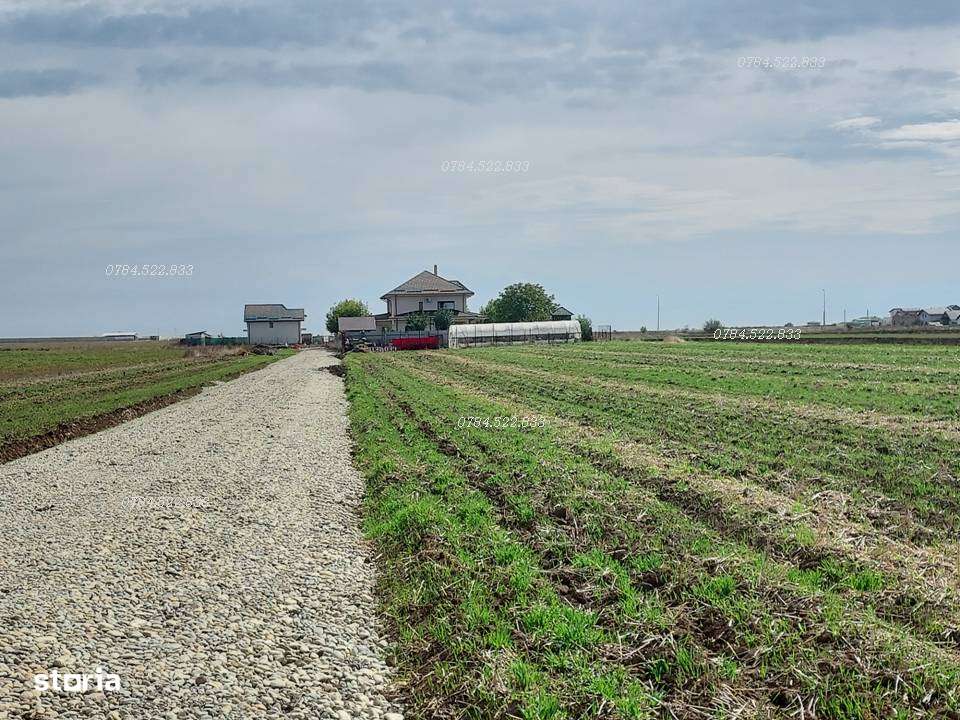 Lot 482 mp Berceni, Ilfov – teren intravilan de vânzare, utilități-7