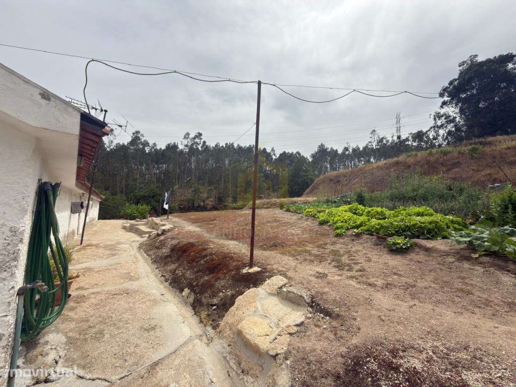 Moradia com Terreno para Restauro | 10 Hectares | Fafe-16