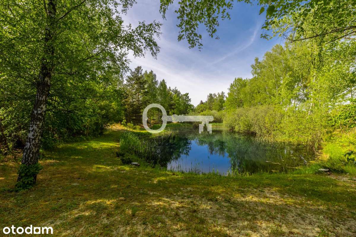Działka budowlana | Staw | Z ogrodem - Pełny obrazek: 4/13