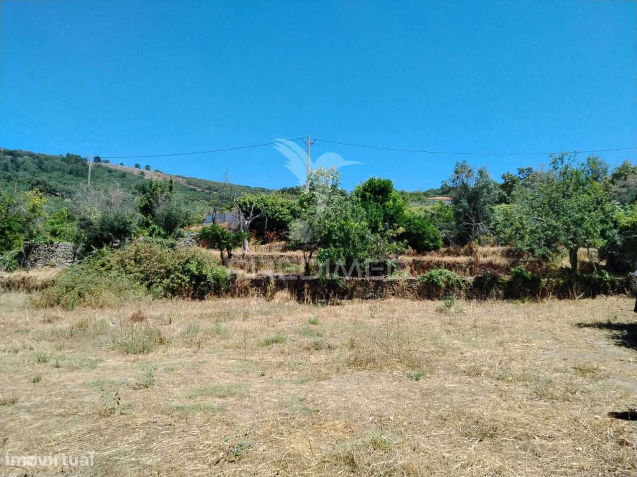 Terreno - Grande imagem: 2/4