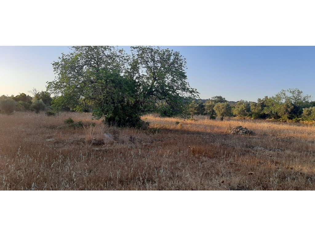 Terreno com projeto aprovado para Auto caravanismo em Cerro do Alpo... - Grande imagem: 4/23