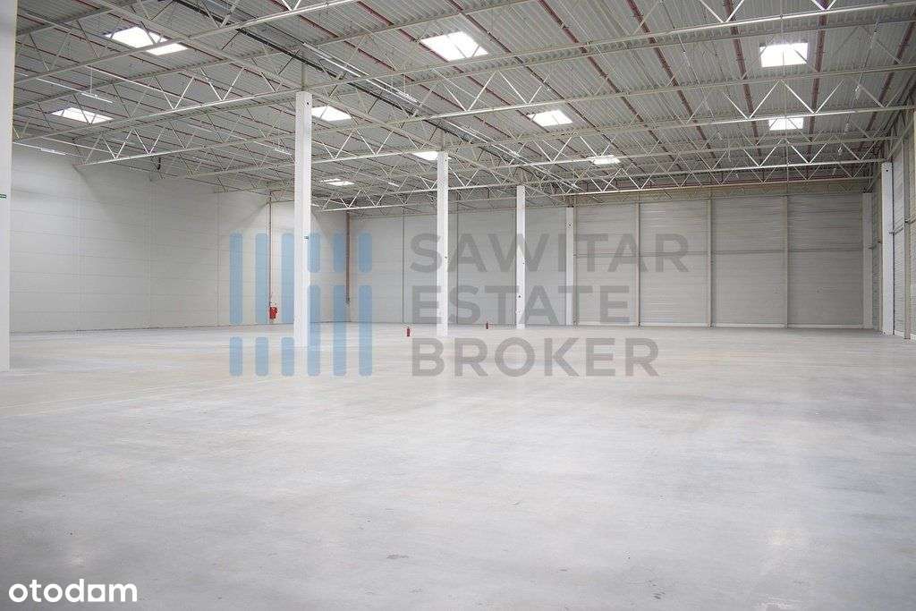 Hala klasy A przy węźle A4 - bez prowizji - Pełny obrazek: 5/5