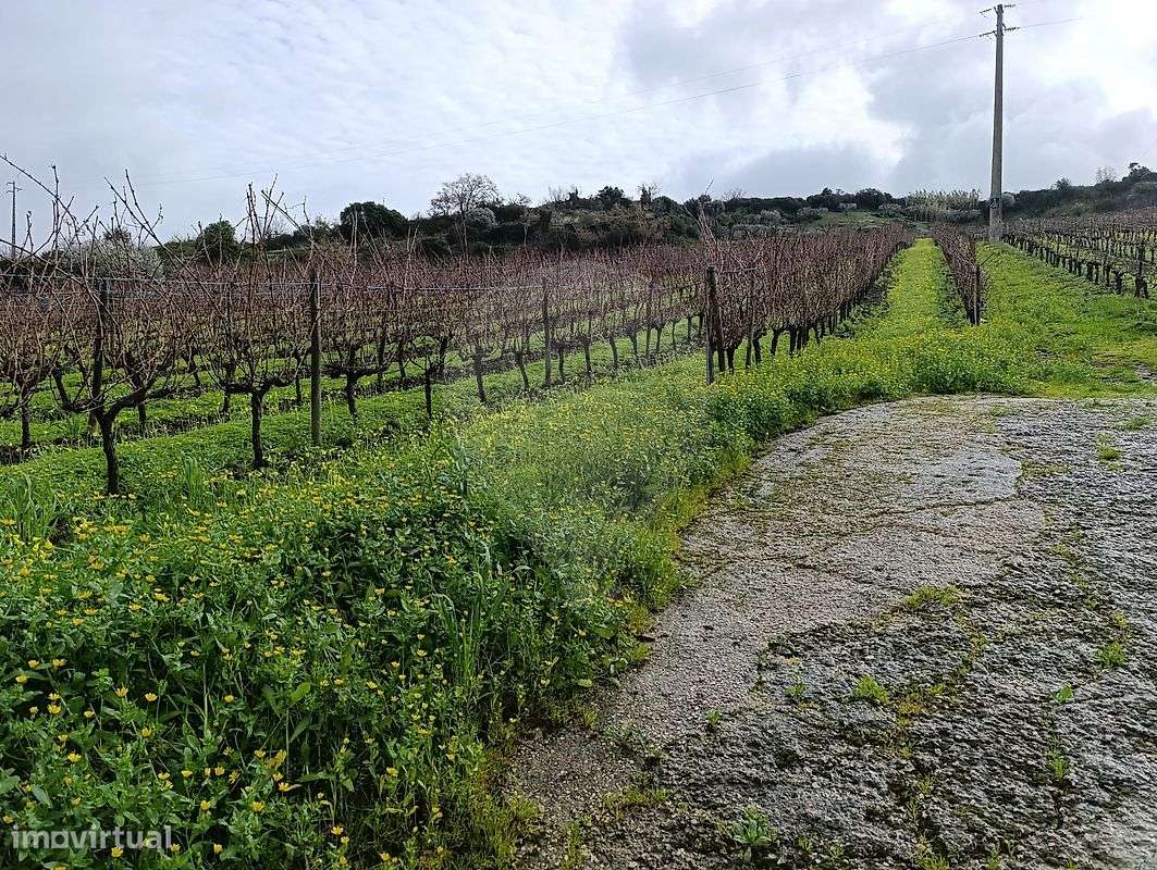 Terreno  para venda - Grande imagem: 4/5