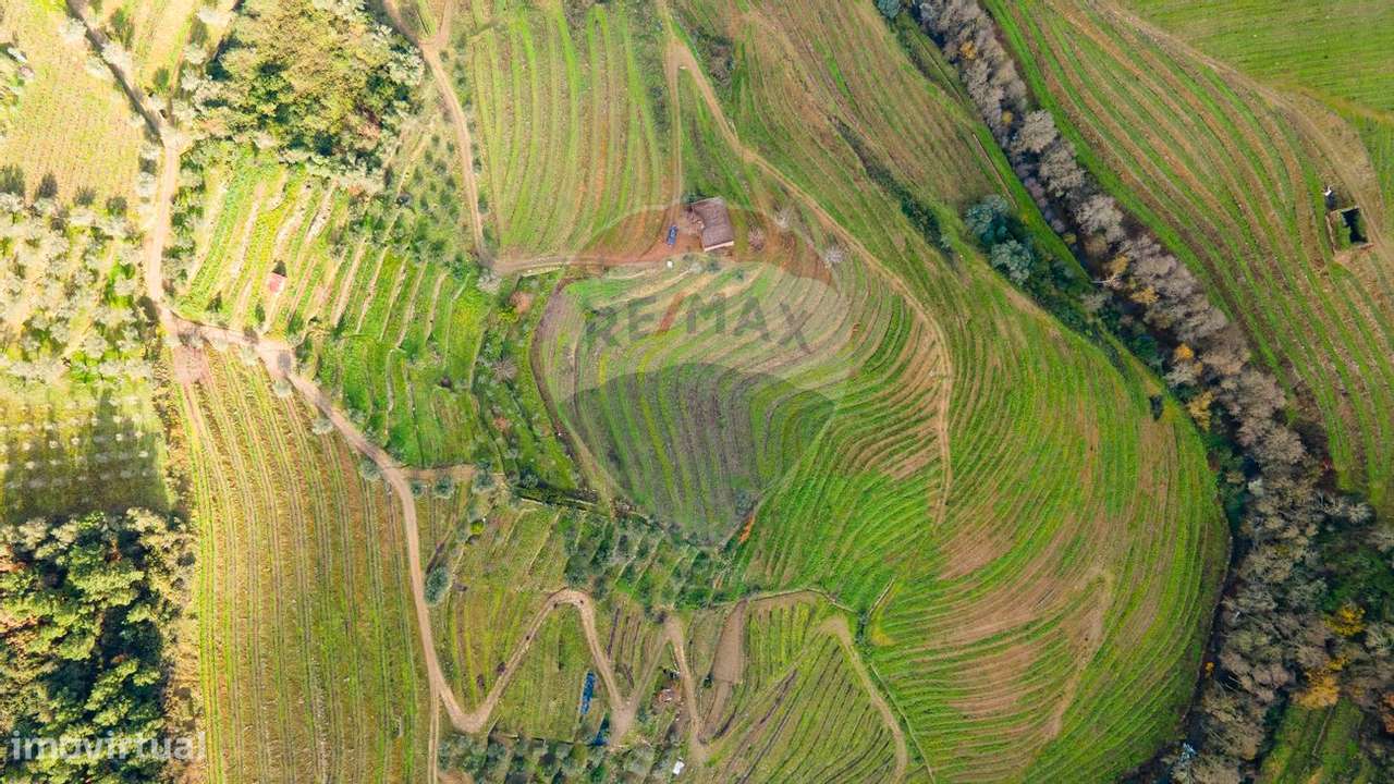 Quinta  para venda - Grande imagem: 5/11