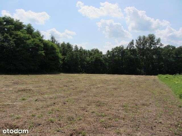 Działka budowlana- Myszkowice, Powiat Będzin-3