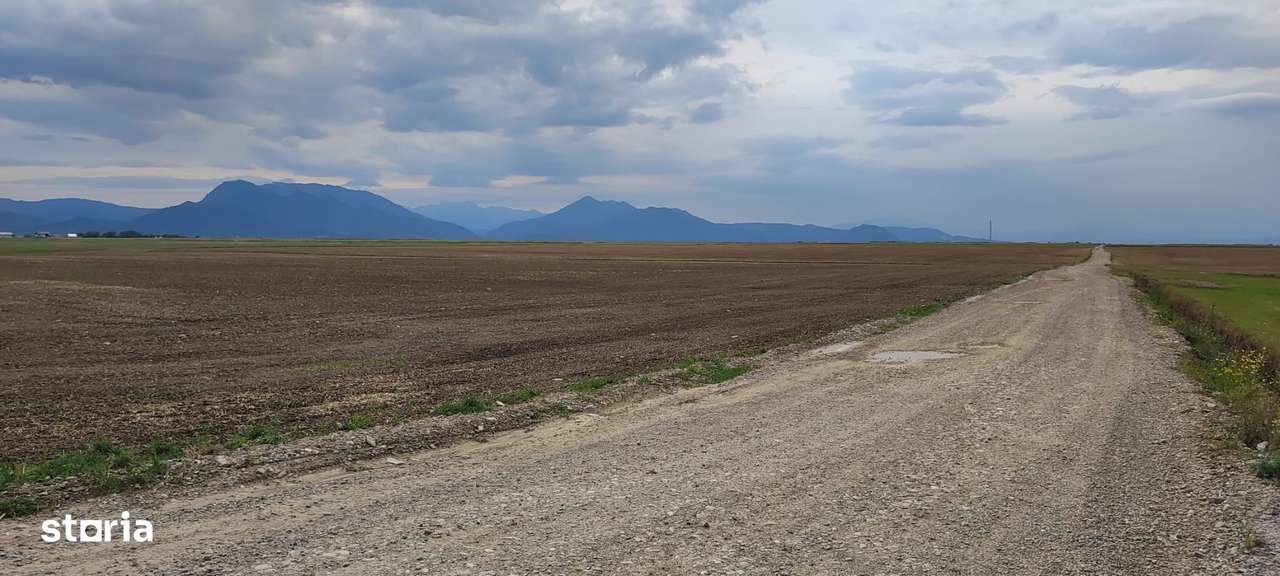 Carpinis, 10000mp-arabil, 25000Euro - Imagine principală: 3/5